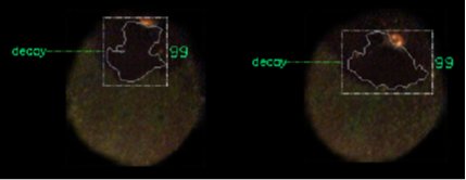 Stem end rot detection