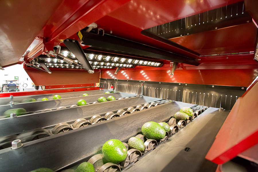 Twin Vision Hyper Spectral voor Avocado