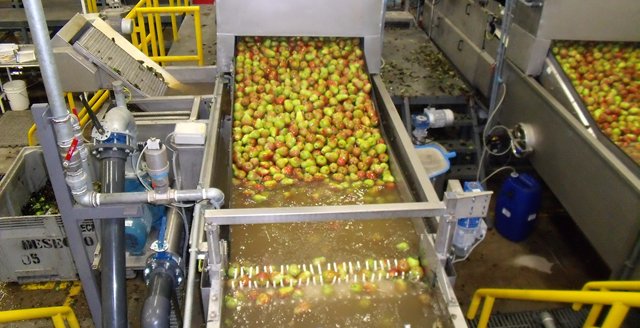 Sumergitor de bins para peras, calidad Aweta