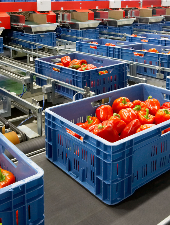 Automatic crate filling