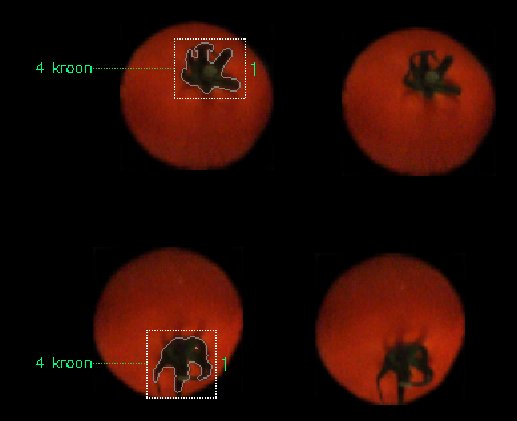 External quality crown detection