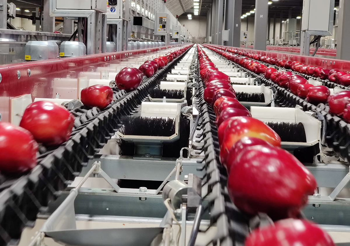borton fruit intro 1